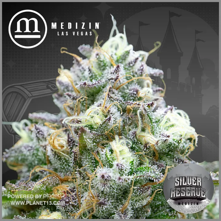Medizin Silver Reserve 1g Preroll