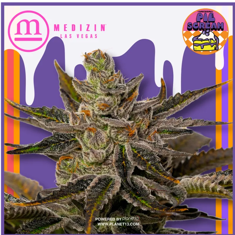 Medizin Piescream 14g Prepack
