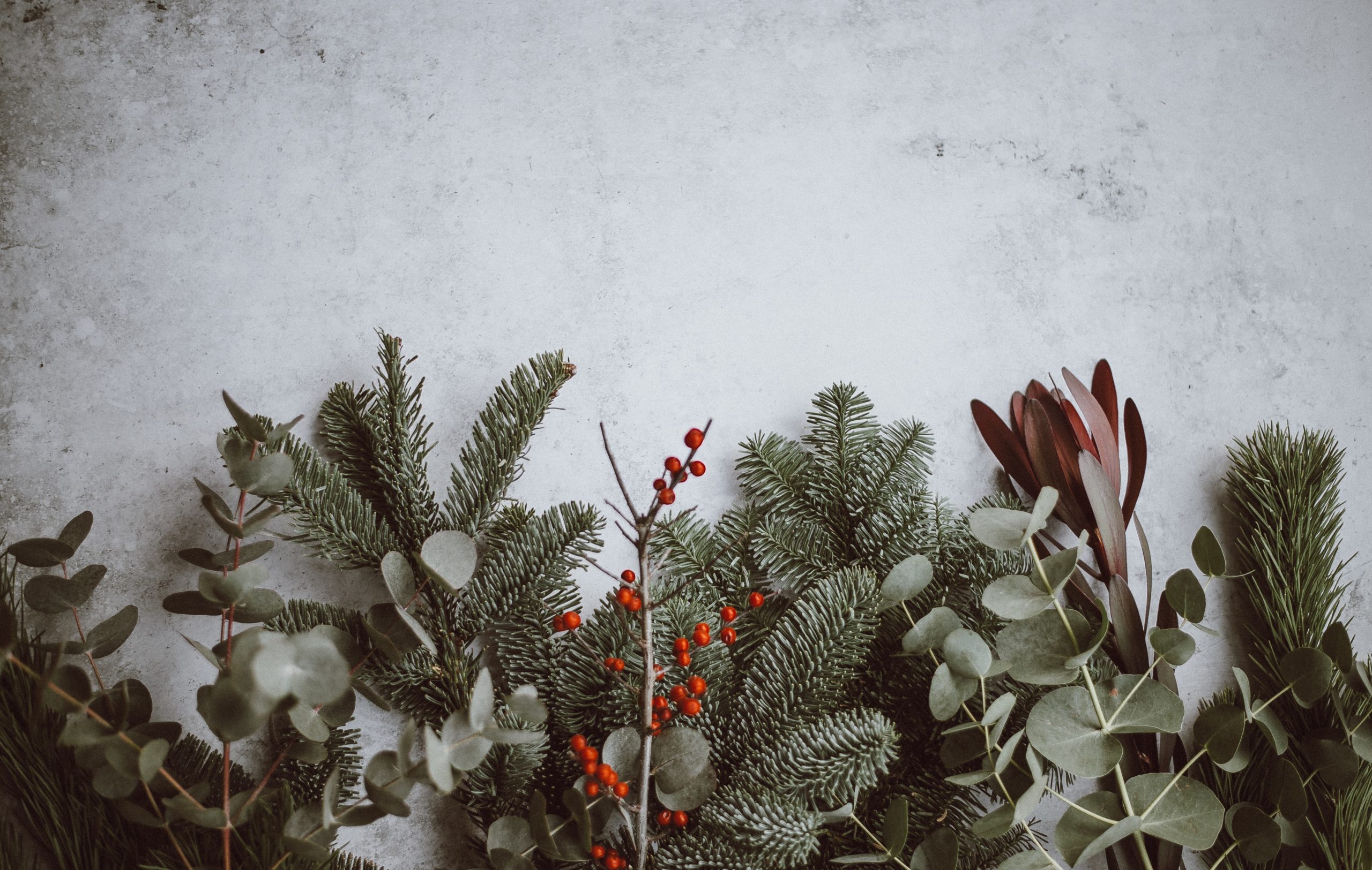 Medizin’s Holiday Favorites