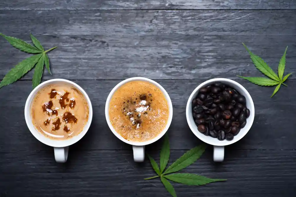 Cannabis and Coffee