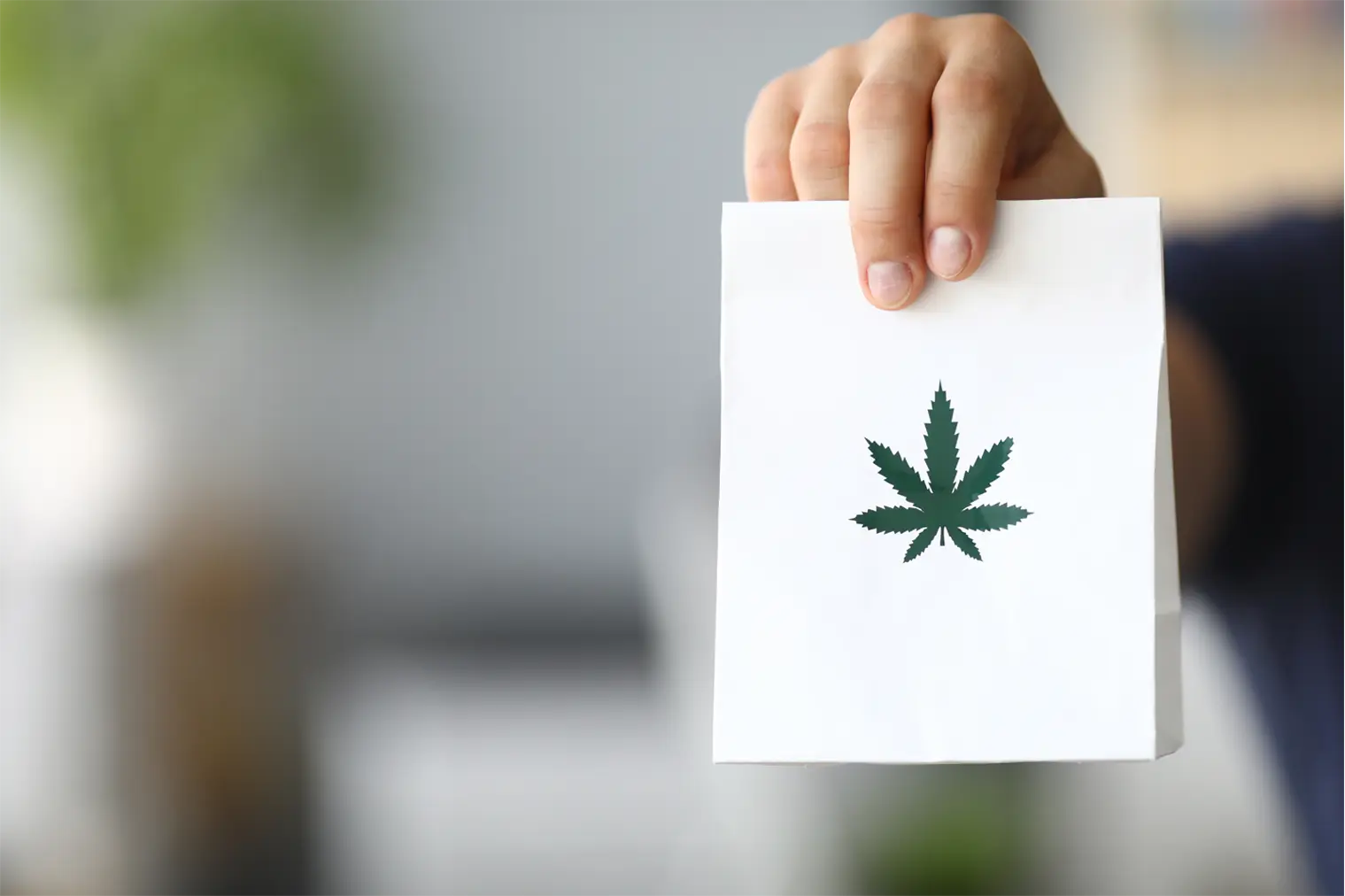 Should I get Cannabis Delivery or Go to a Dispensary?
