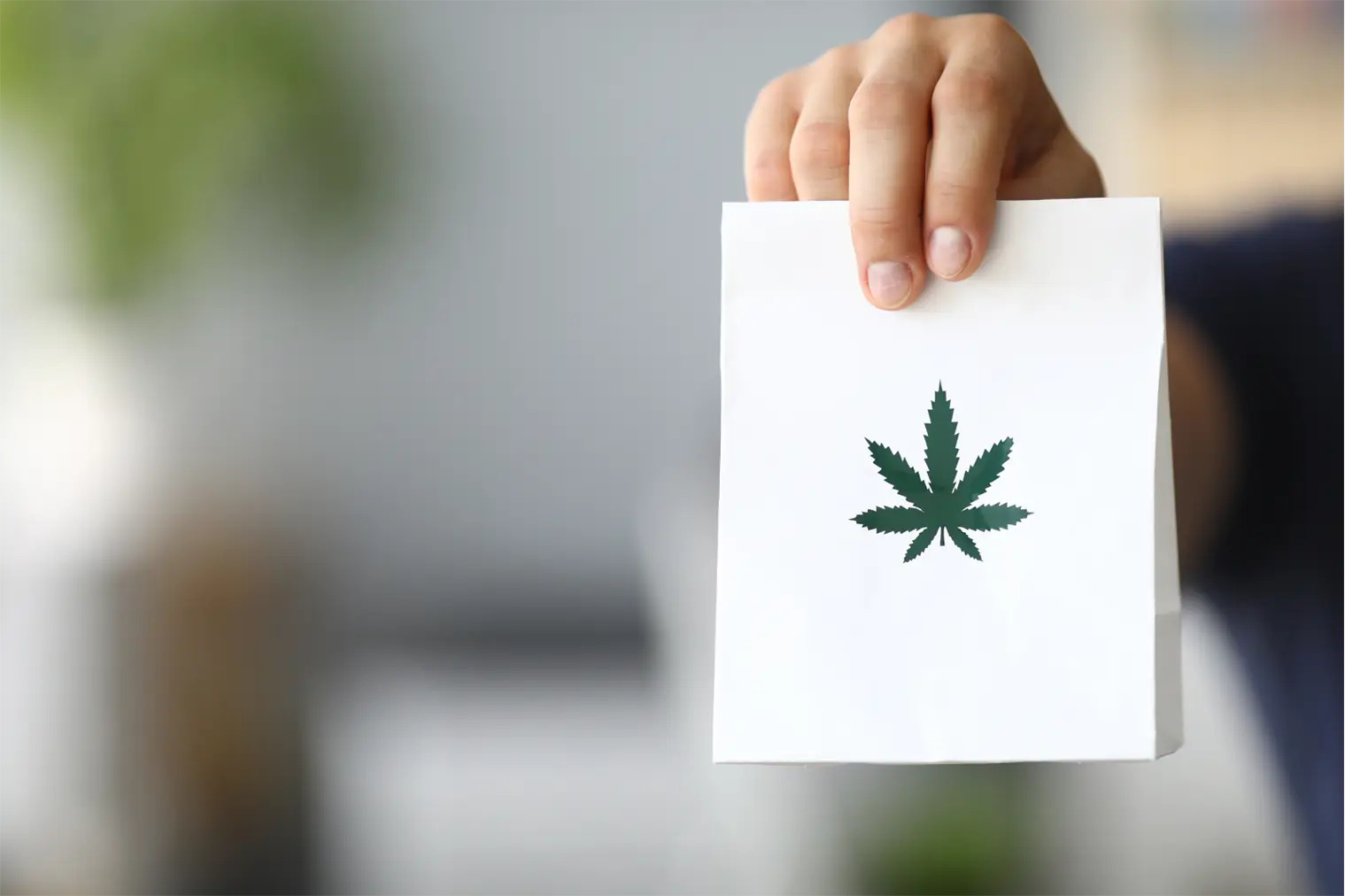 Cannabis Delivery vs. Buy In-Person