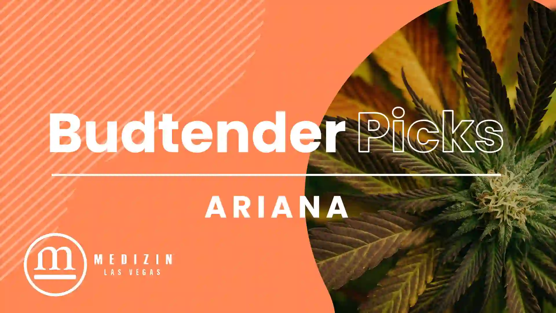 Budtender Picks: Ariana’s Faves
