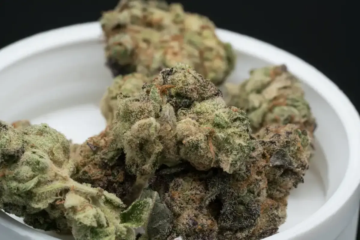 cannabis flowers