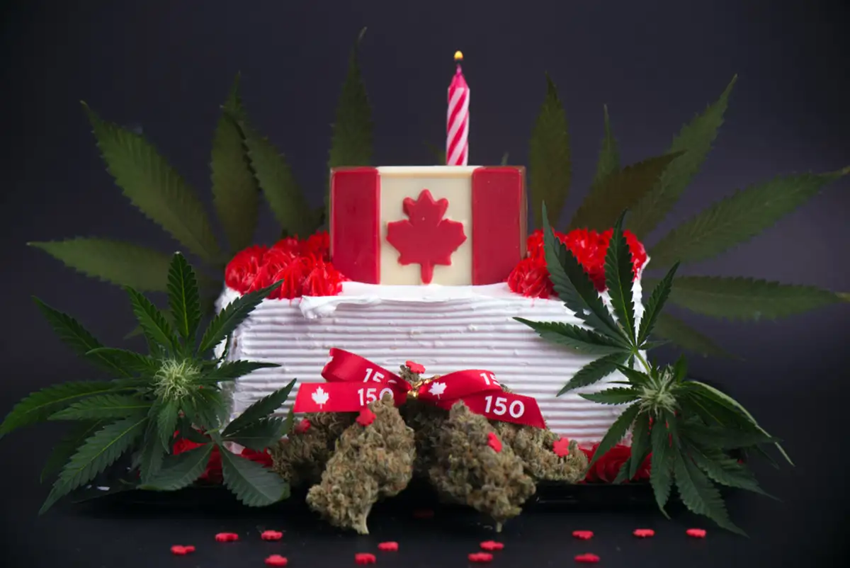 The Flavorful Secrets of the Wedding Cake Strain