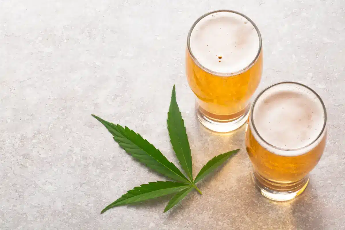 Cannabis and Alcohol on the table