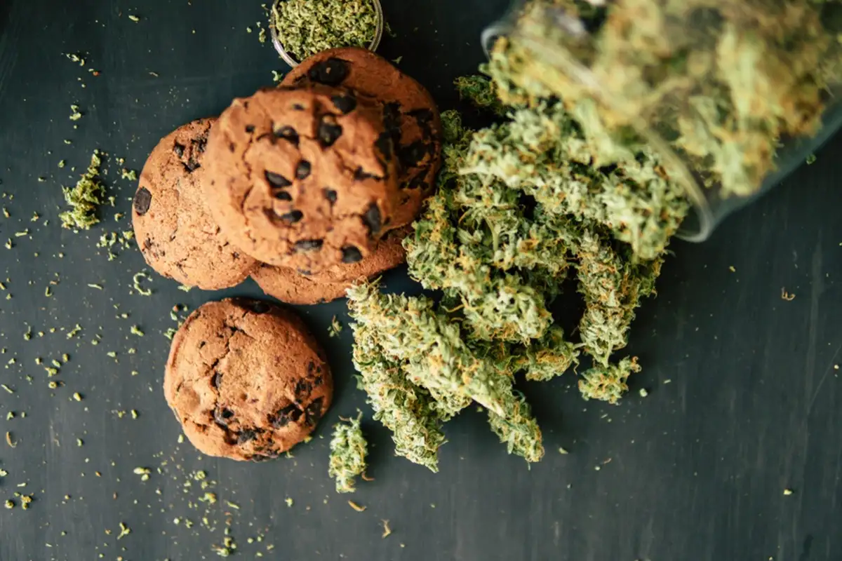 Garanimals Strain: Unraveling this Indica-Sativa Blend
