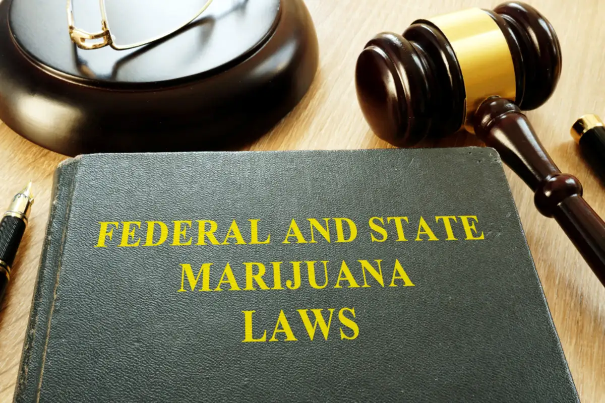 Cannabis laws