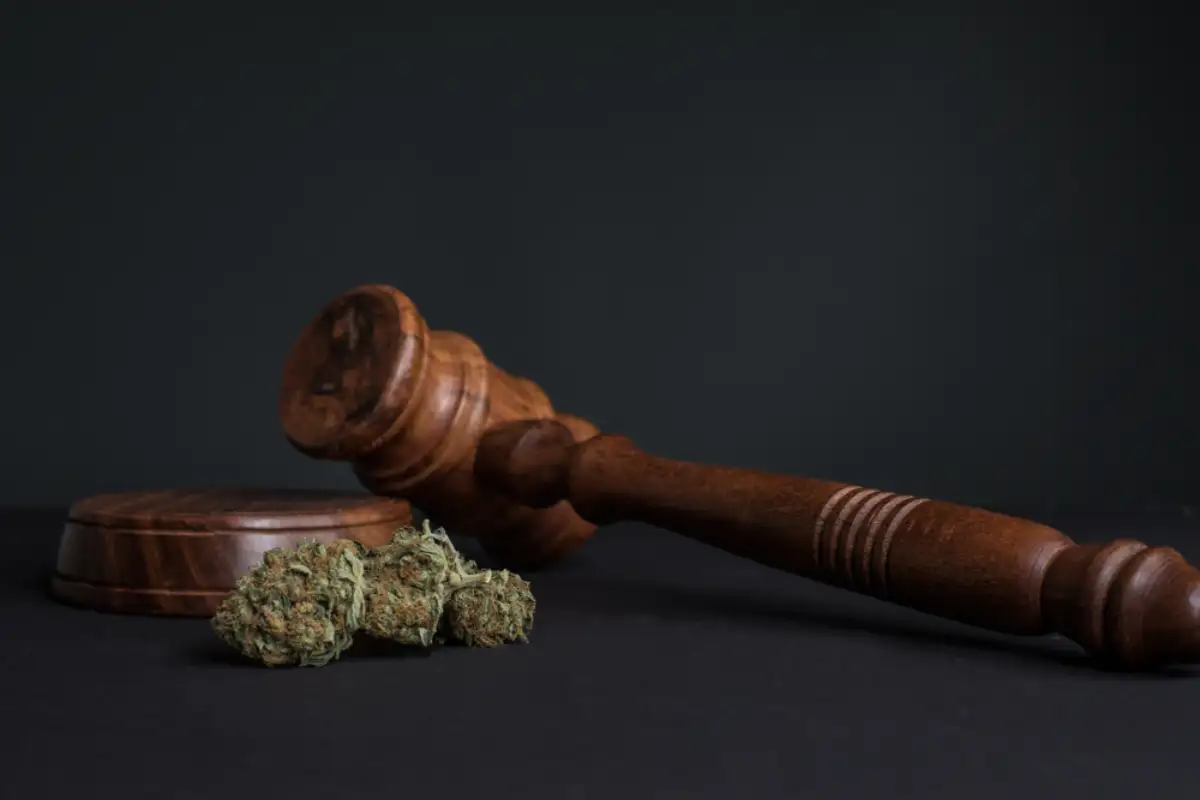 Legalized Cannabis in Nevada: Insights and Implications