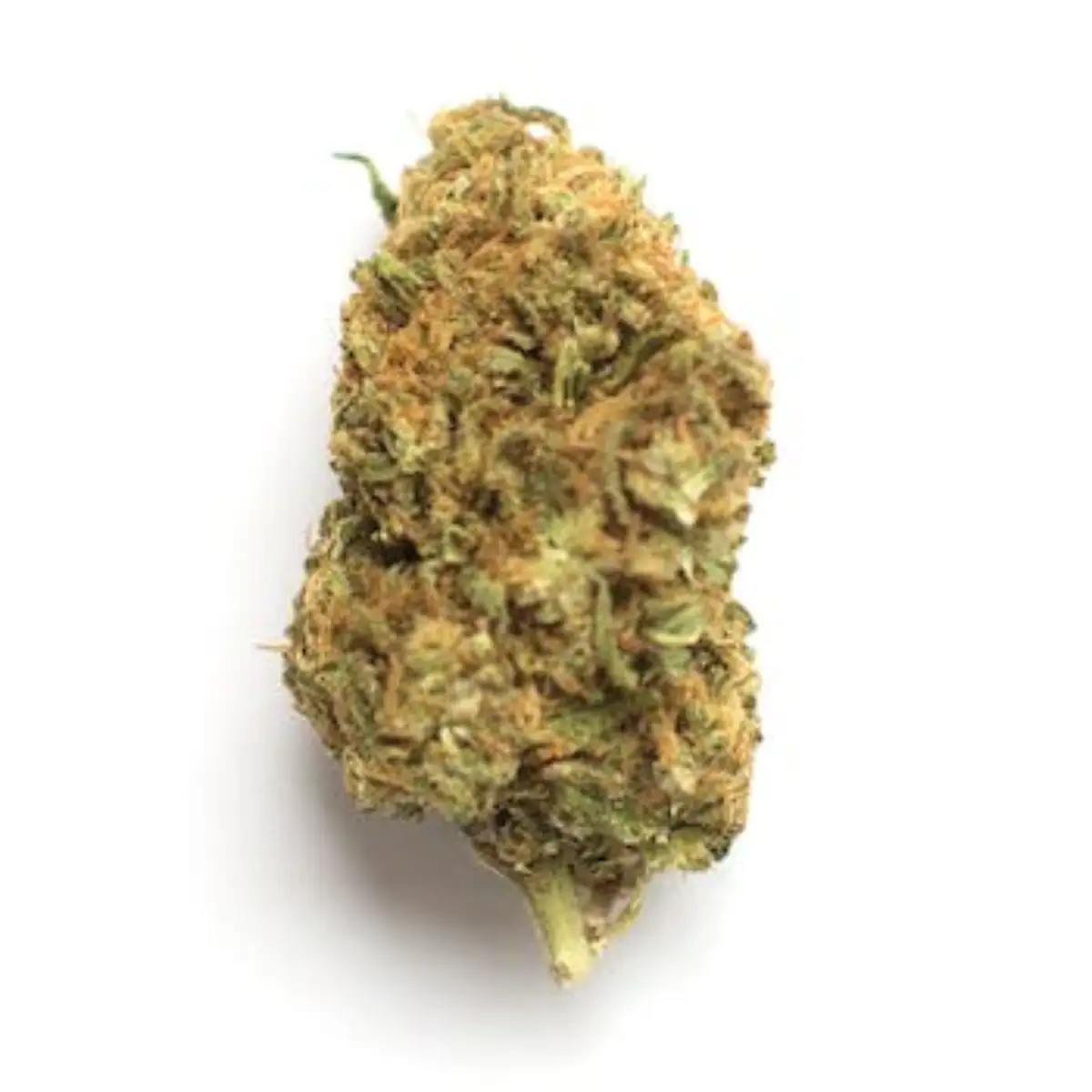 Close up of Ice Cream Cake Strain
