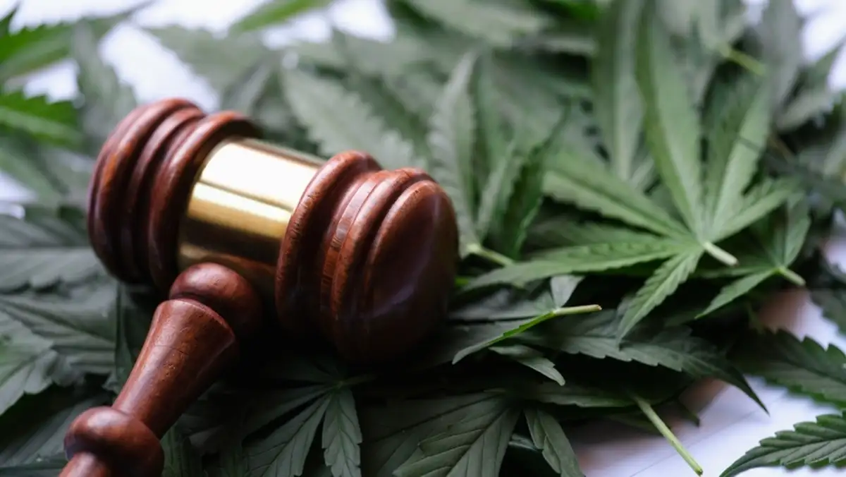 Gavel and Cannabis