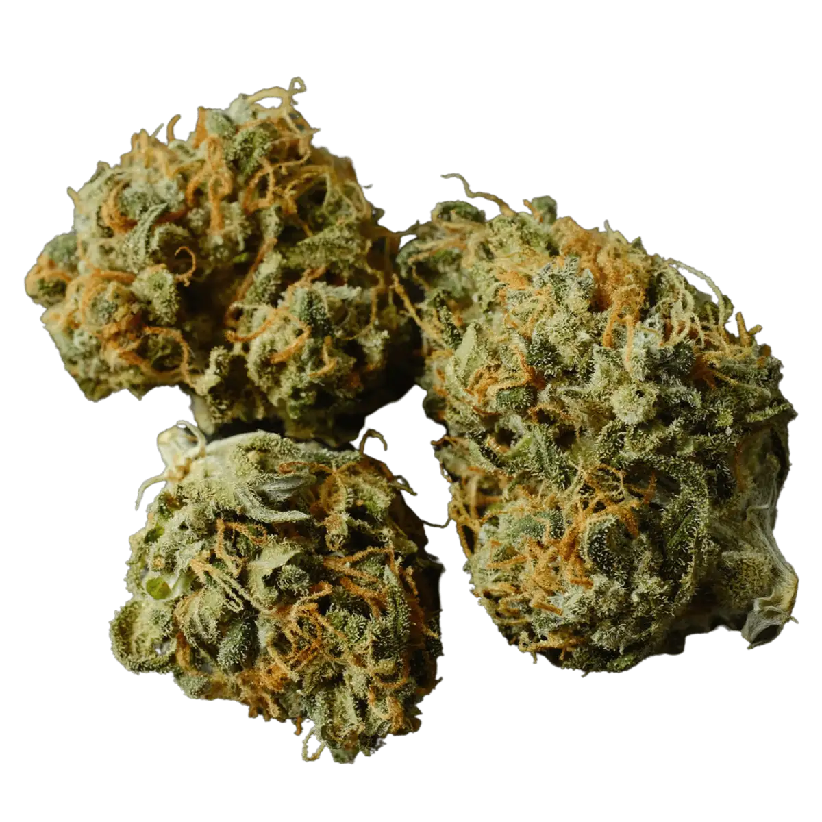 Gorilla Glue Strains