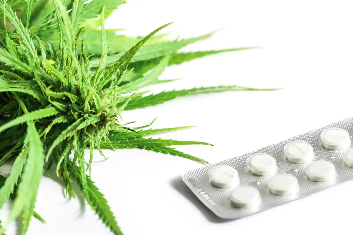 Exploring the Effects of Antidepressants and Cannabis