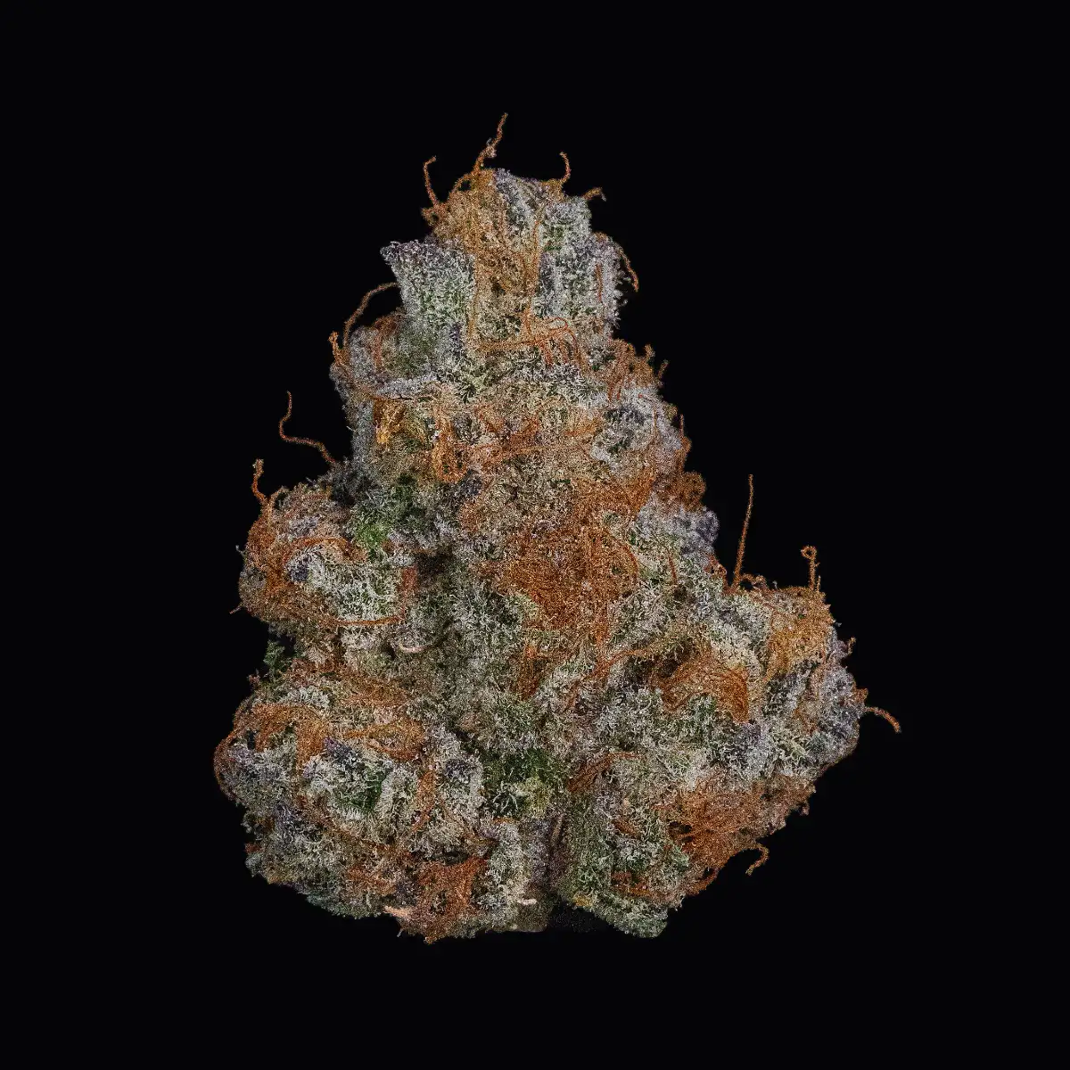 La kush cake strain flower nug