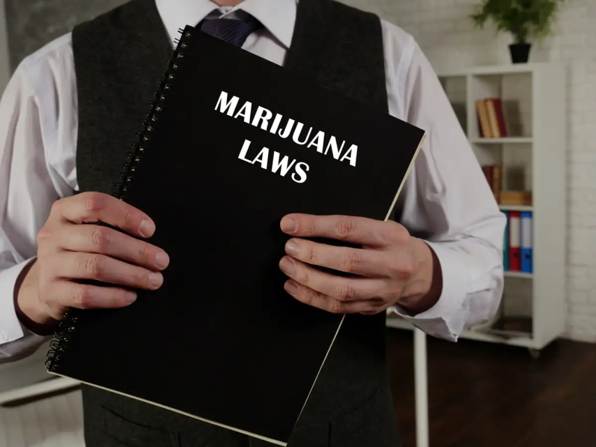 Lawyer holds MARIJUANA LAWS book