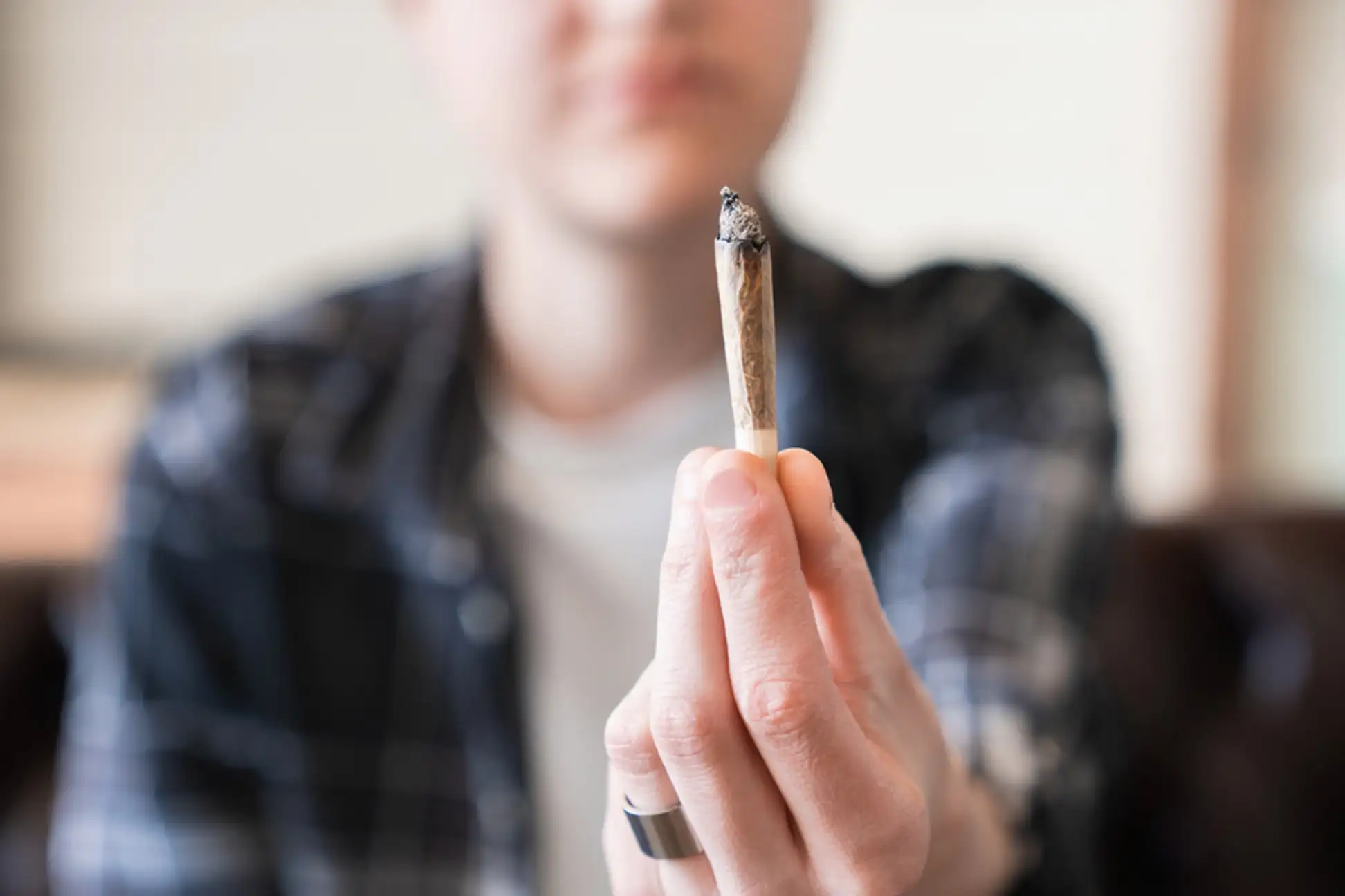 Top Factors Influencing Your Cannabis High