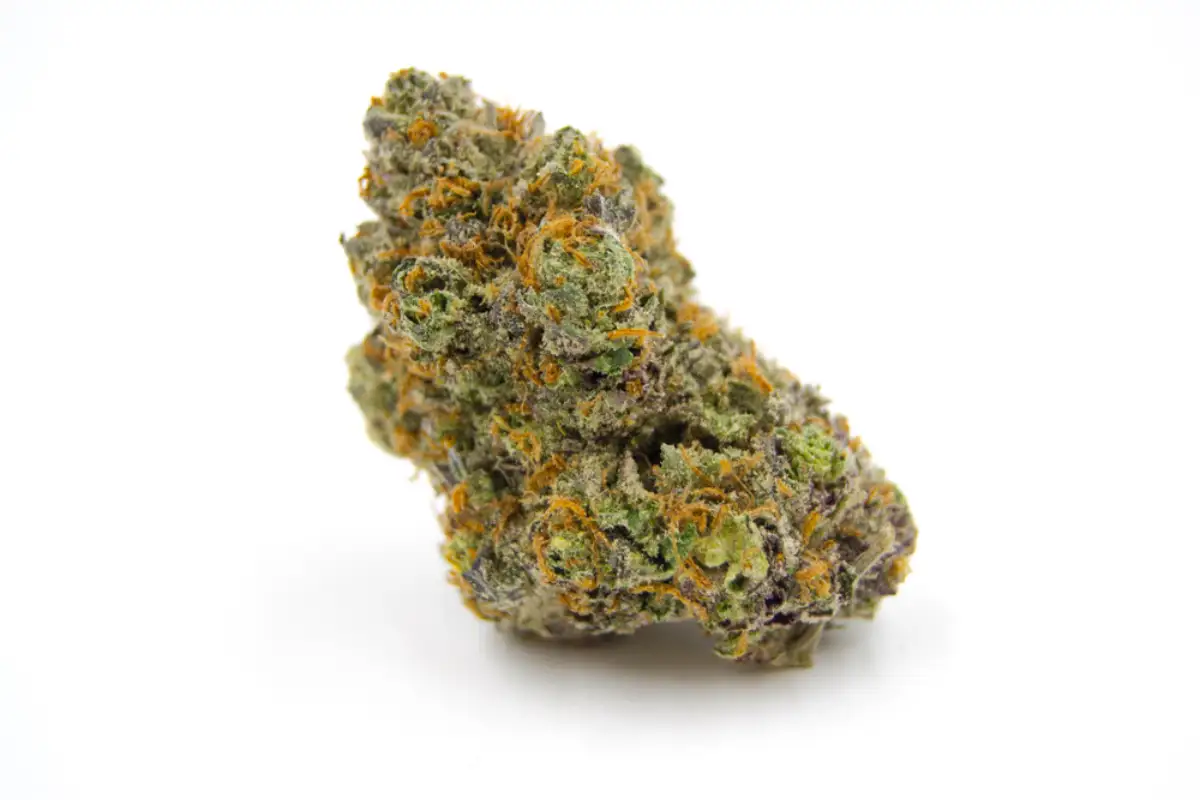 Marijuana Medical Cannabis