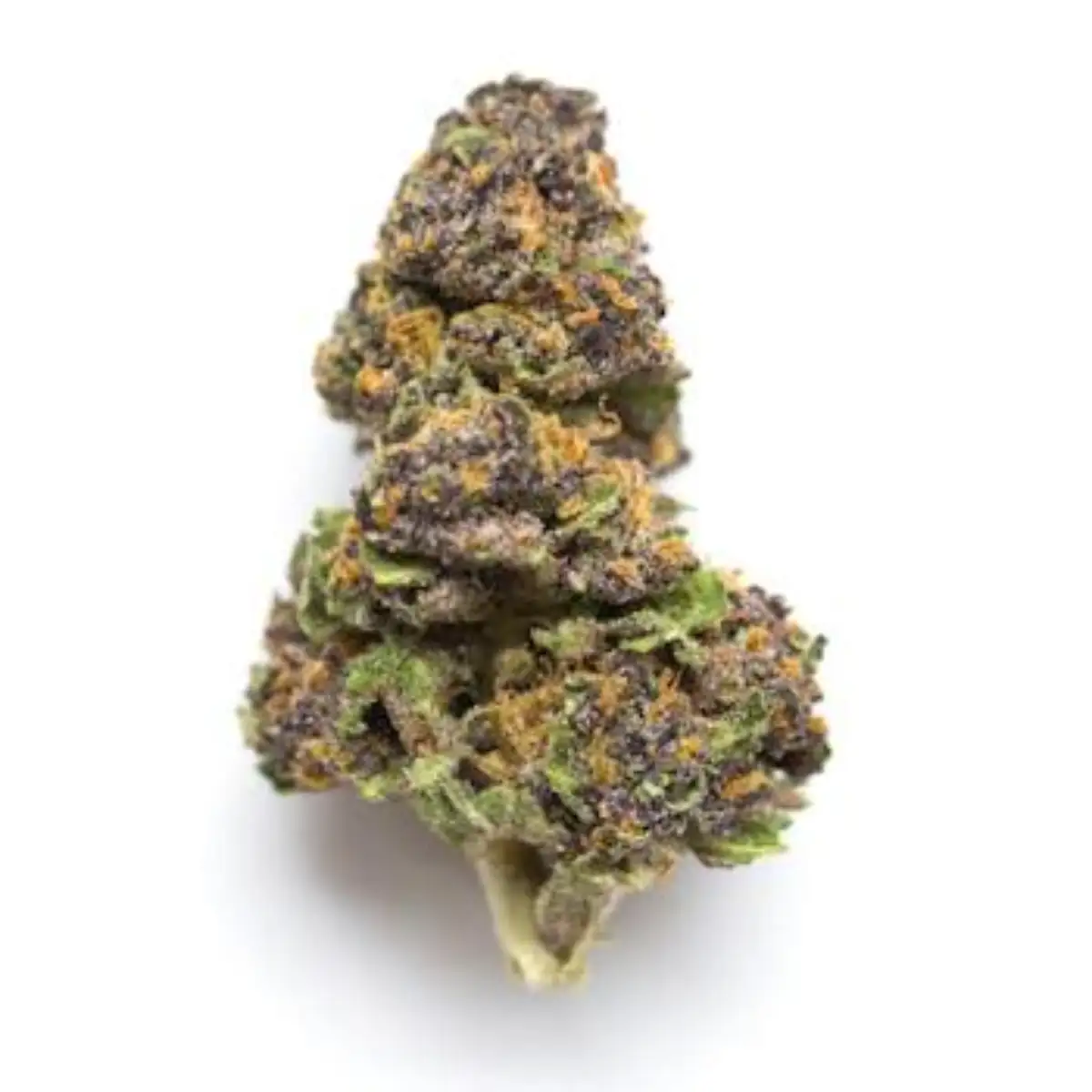 Monster Cookies Strain