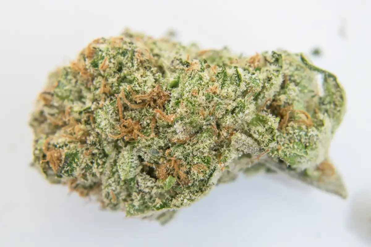 OG Kush Cannabis