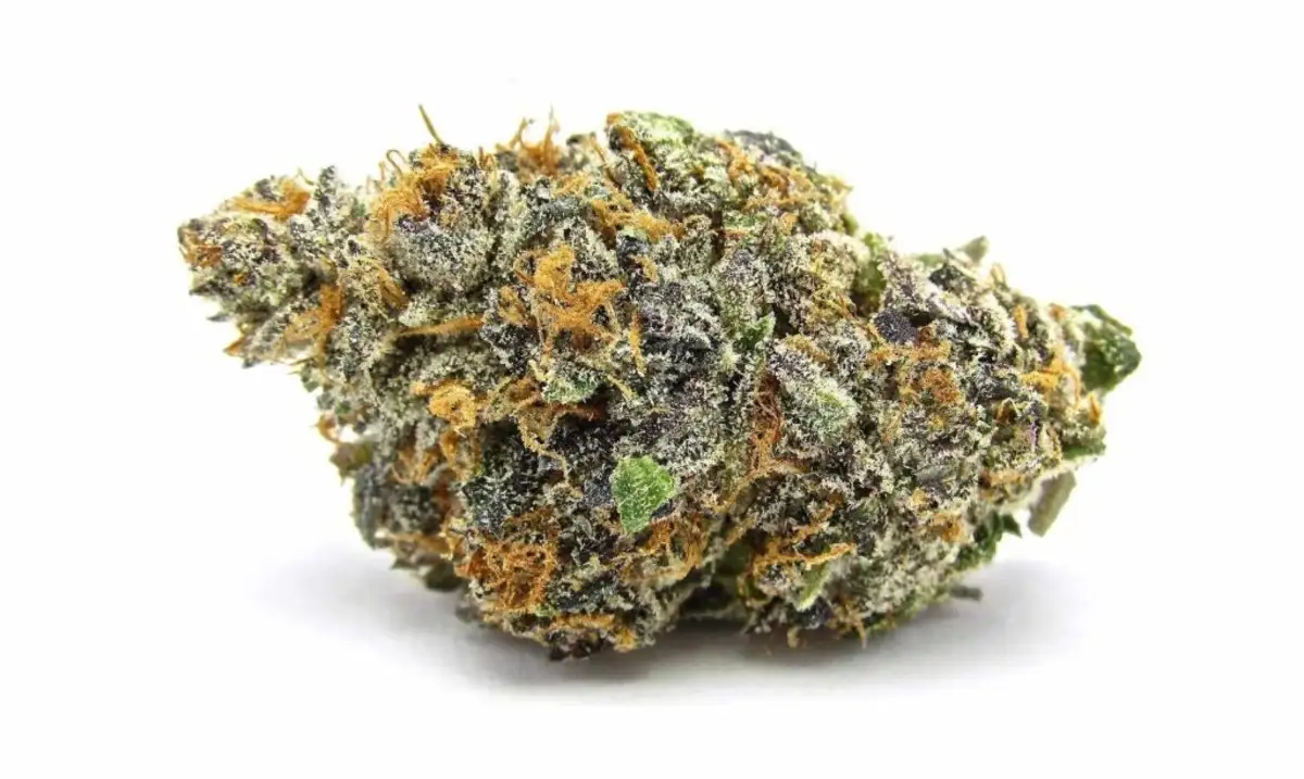 Pink Mimosa Strain