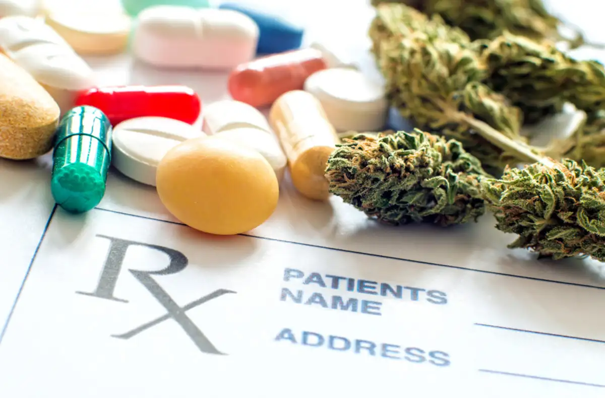 Antibiotics and Cannabis: All You Need to Know