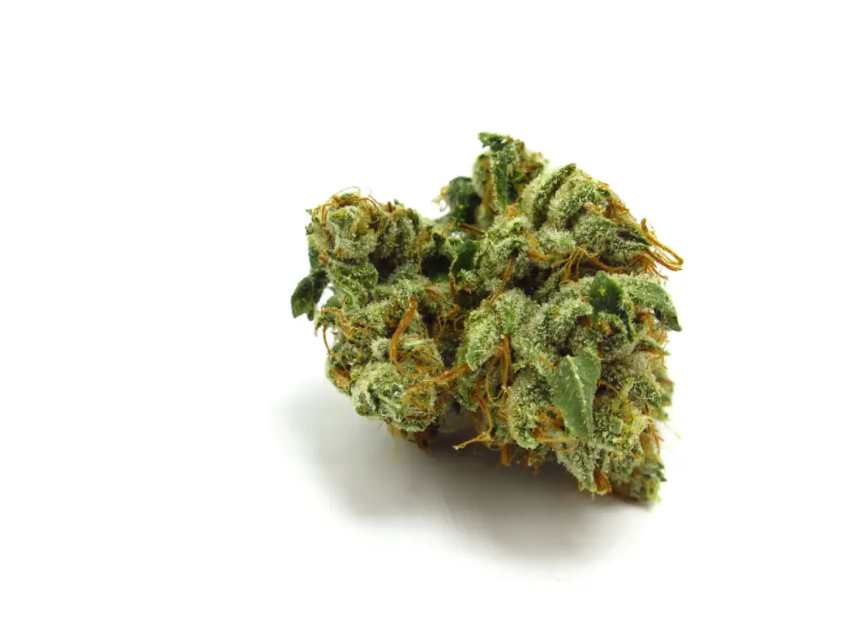 SFV OG (San Fernando Valley OG) cannabis strain
