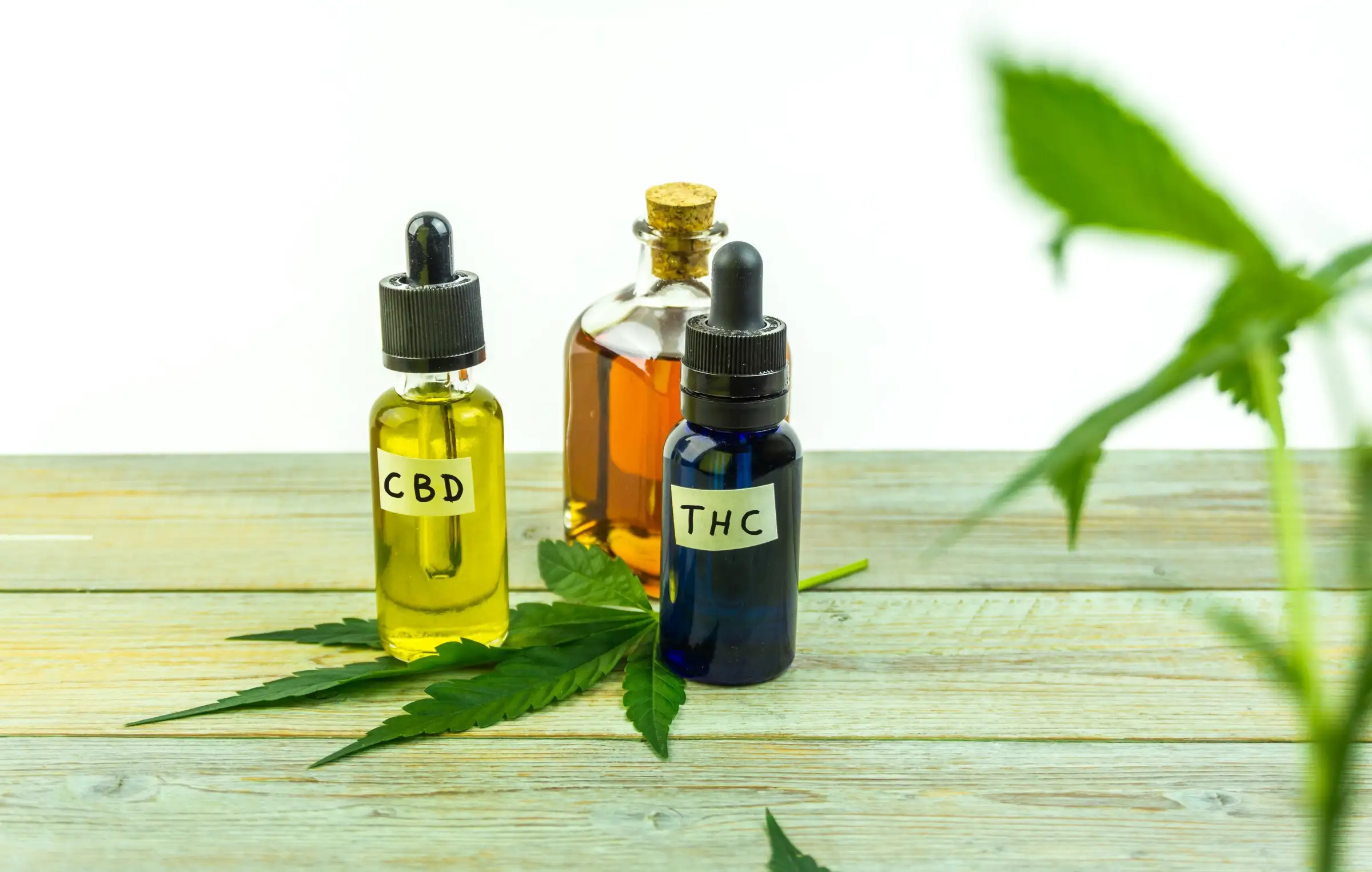 THC and CBD on the table