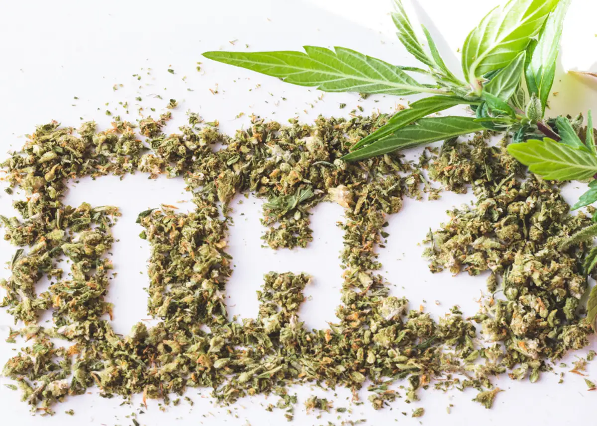 Tetrahydrocannabinol: Exploring its Properties & Uses