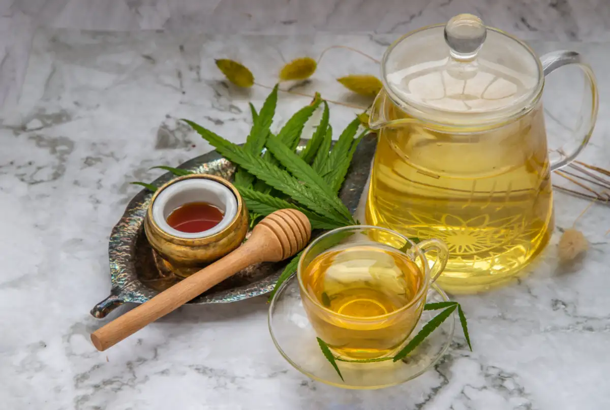Cup of Cannabis herbal tea and Stem with green marijuana leaves
