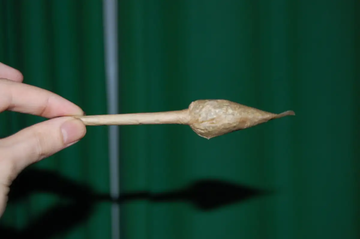 Holding a Tulip Cannabis Joint