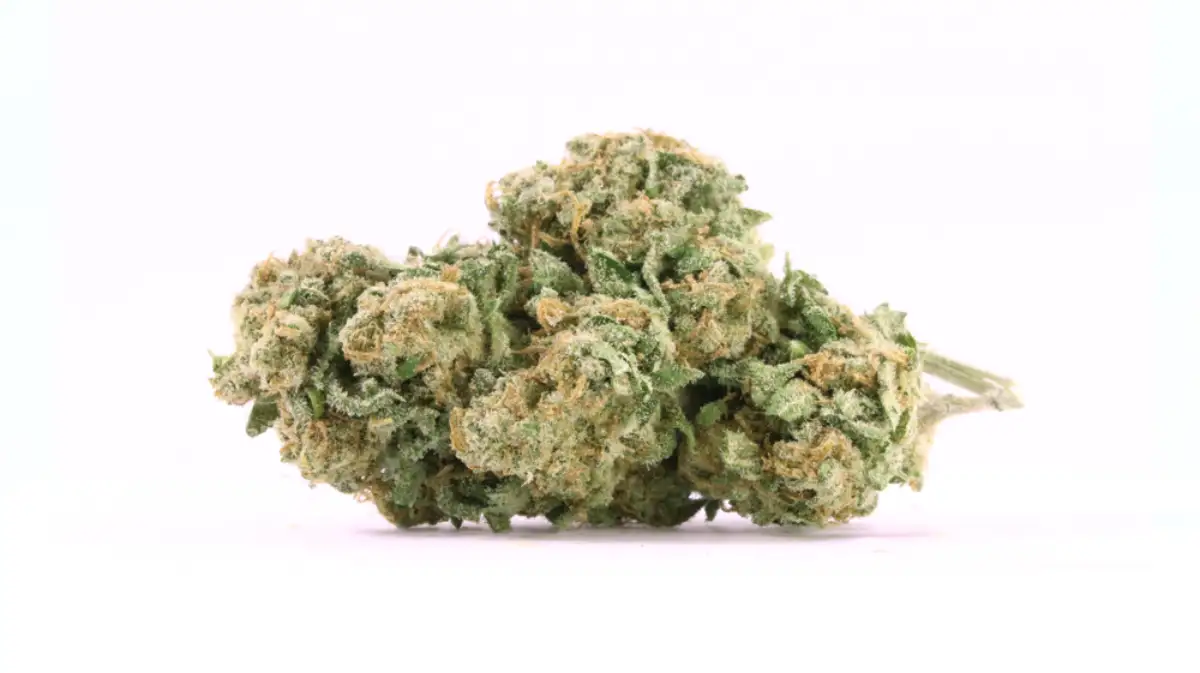 Close up of Bruce Banner
