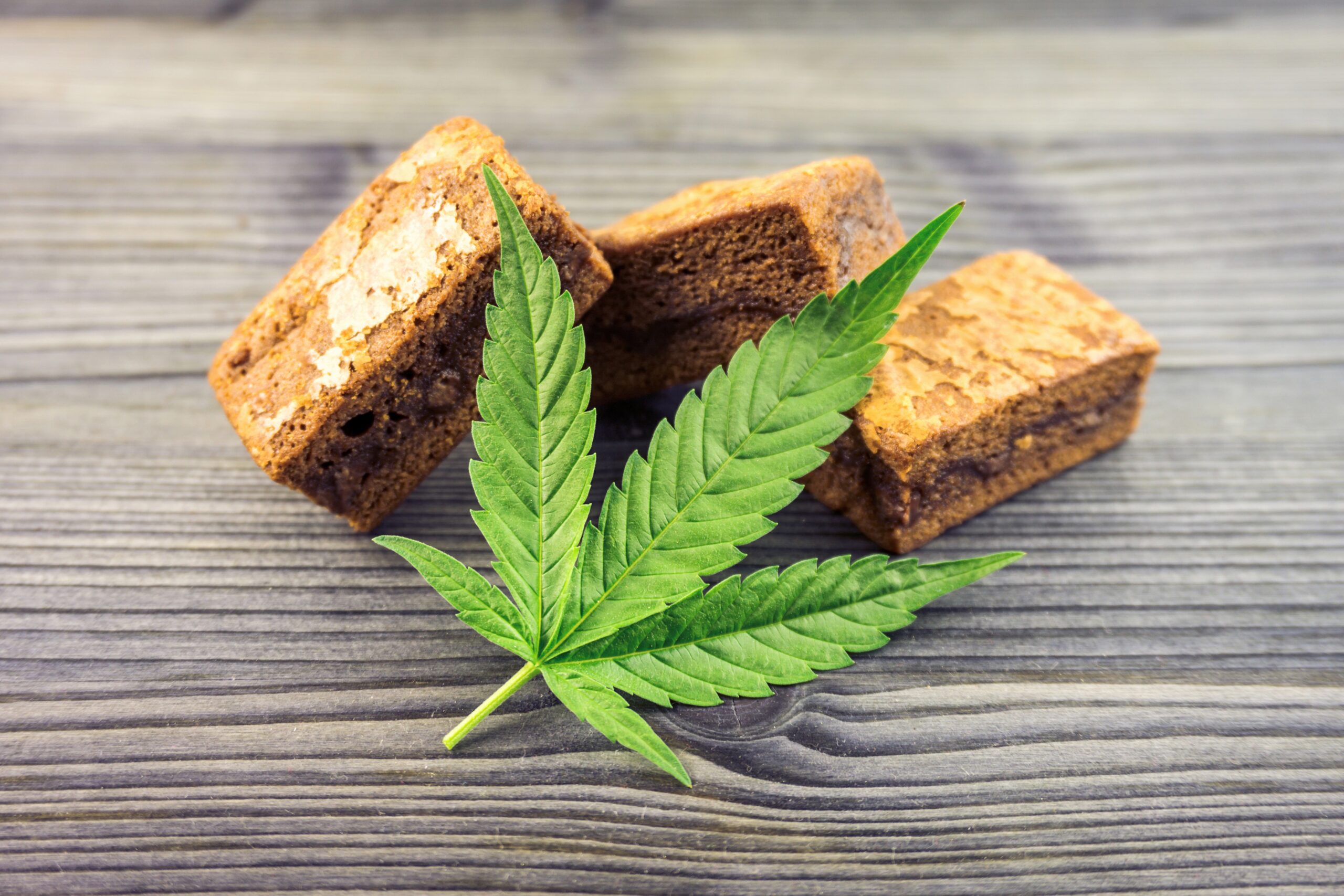 cannabis brownies marijuana leaf on brownie conce 2023 11 27 05 13 28 utc