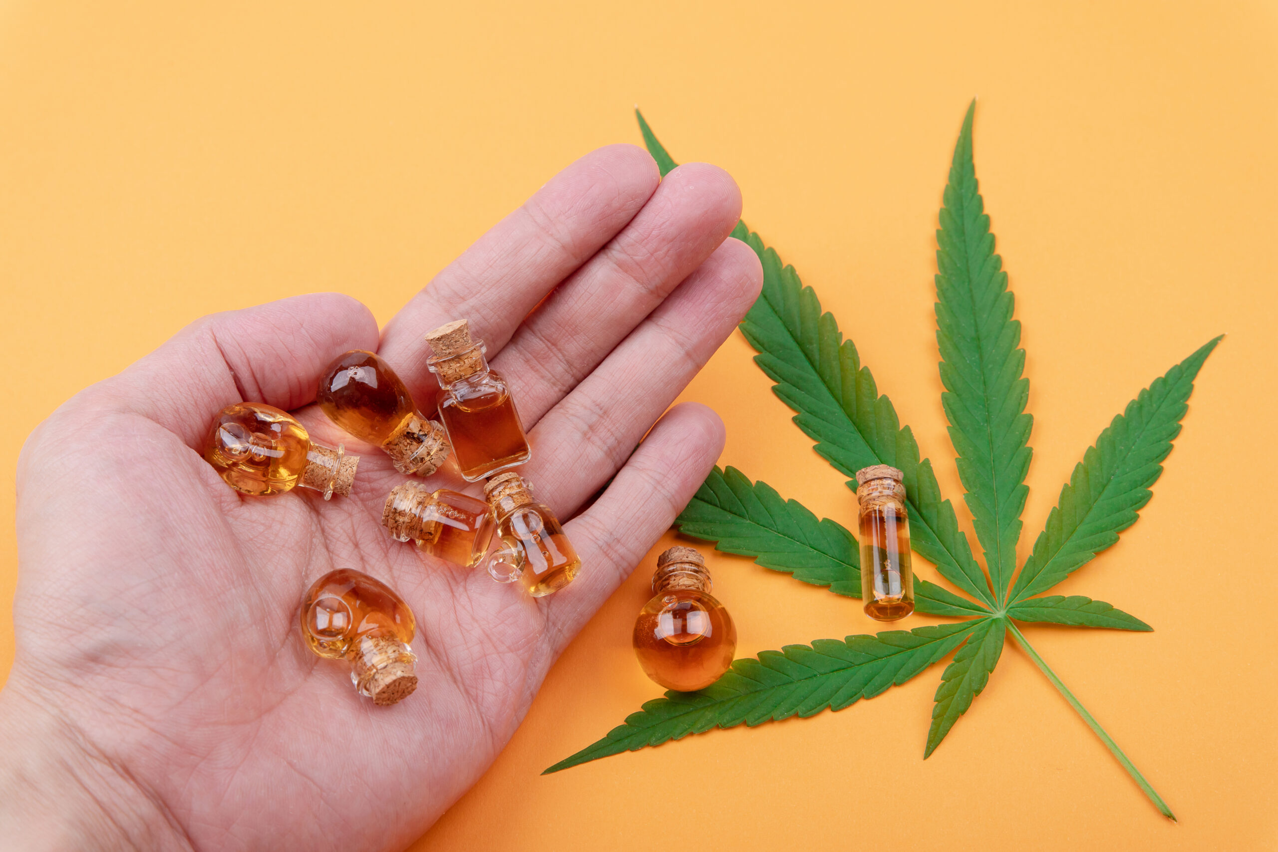 How To Determine The Quality Of Cannabis Resin