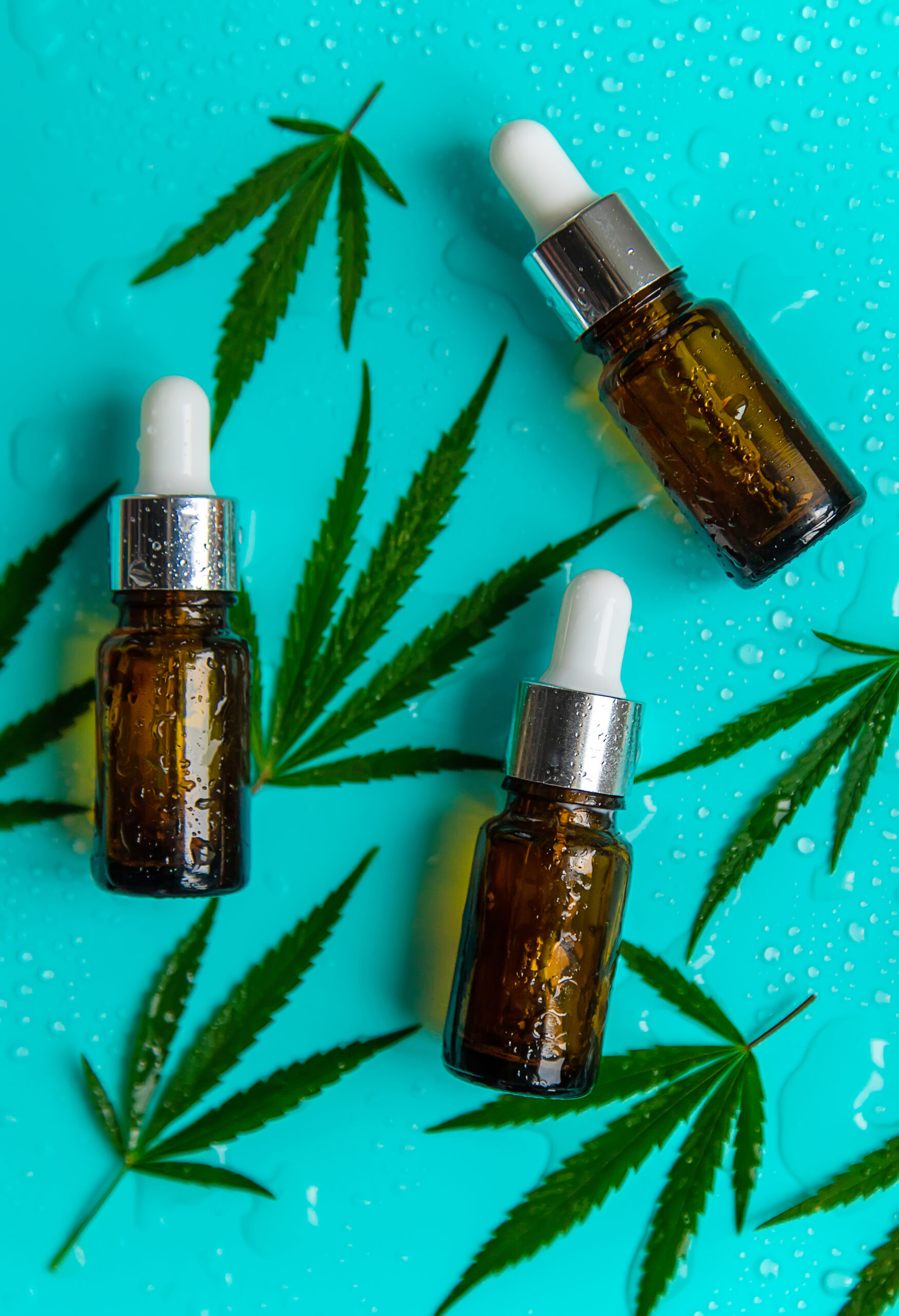 cannabis oil natural on a wet background selective