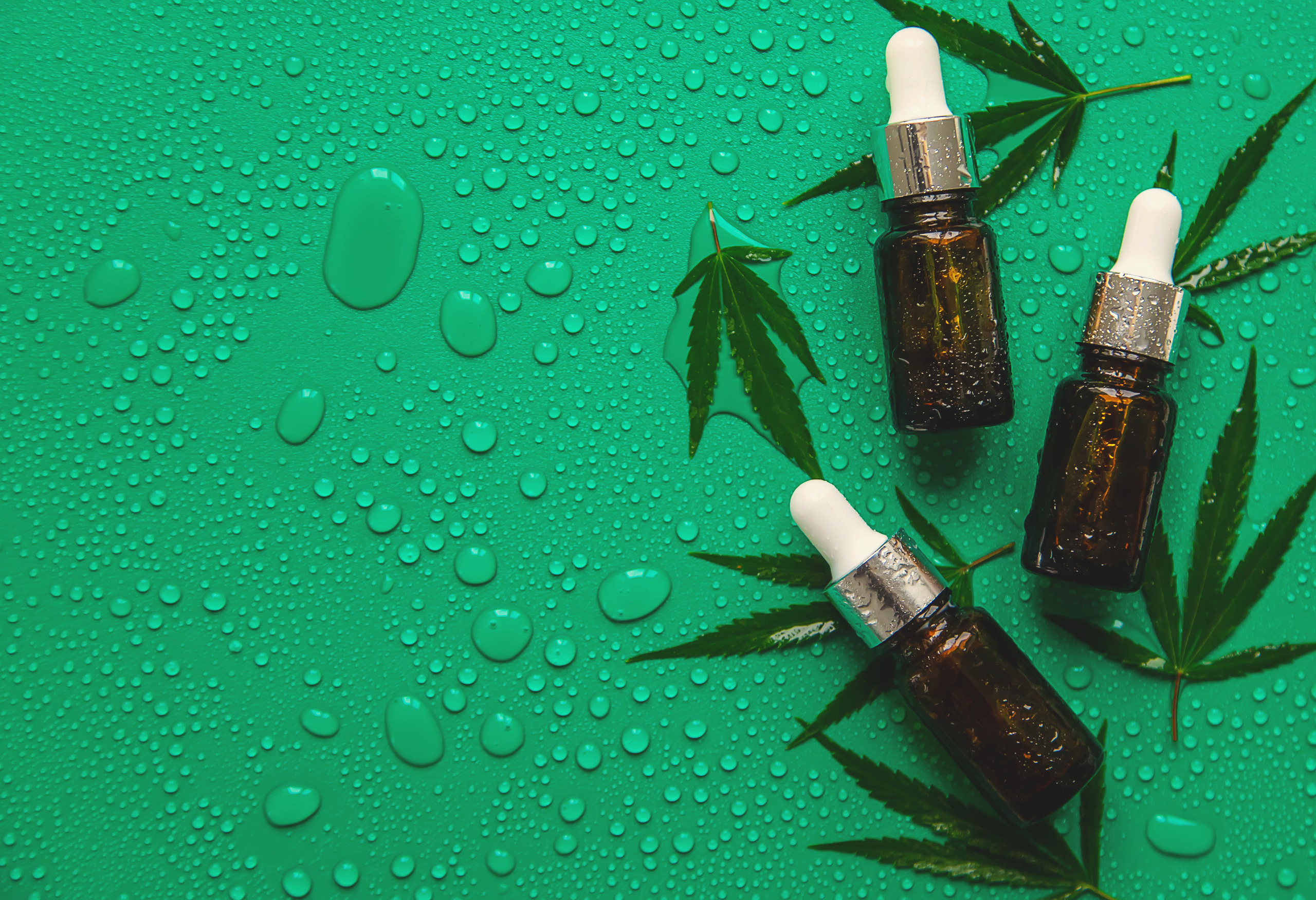 cannabis oil on a wet background selective focus