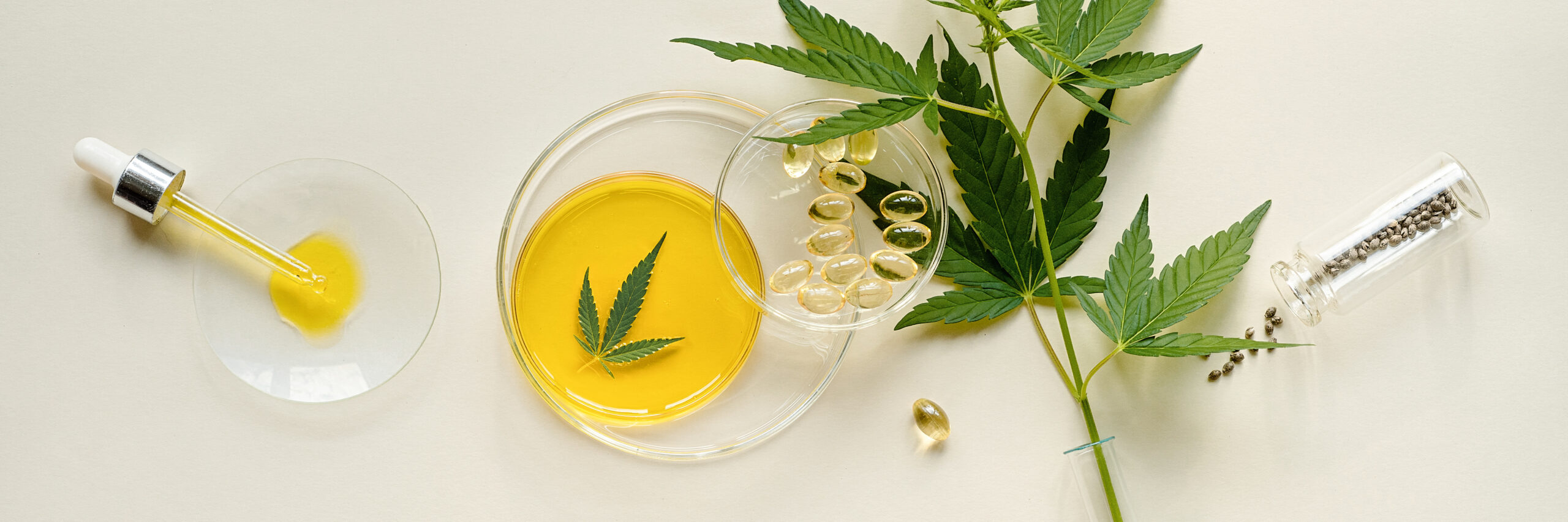 Live Resin vs. Distillate – What Are The Differences & Similarities?