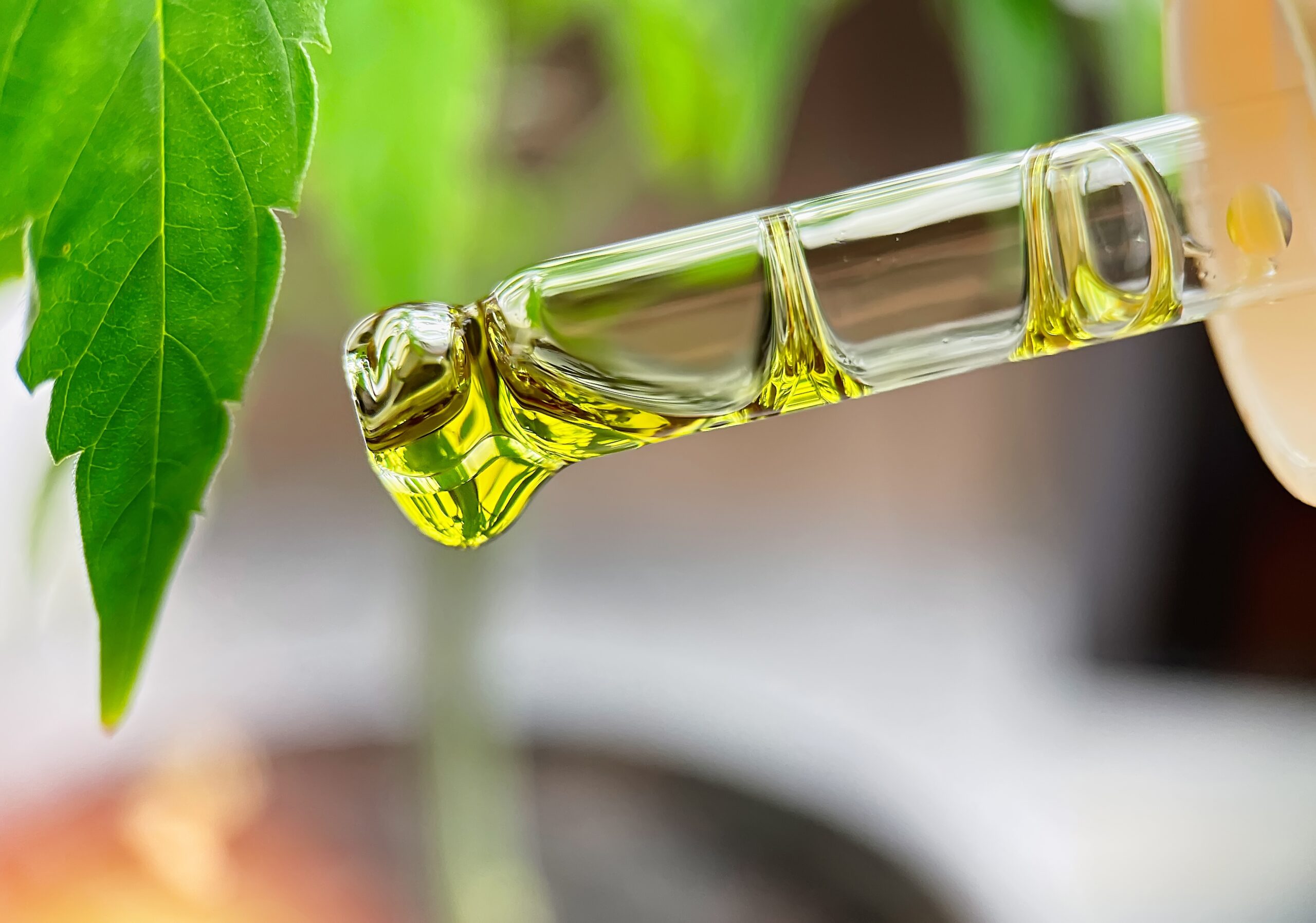 What is THC Distillate Oil? – Extraction, Uses, and Benefits