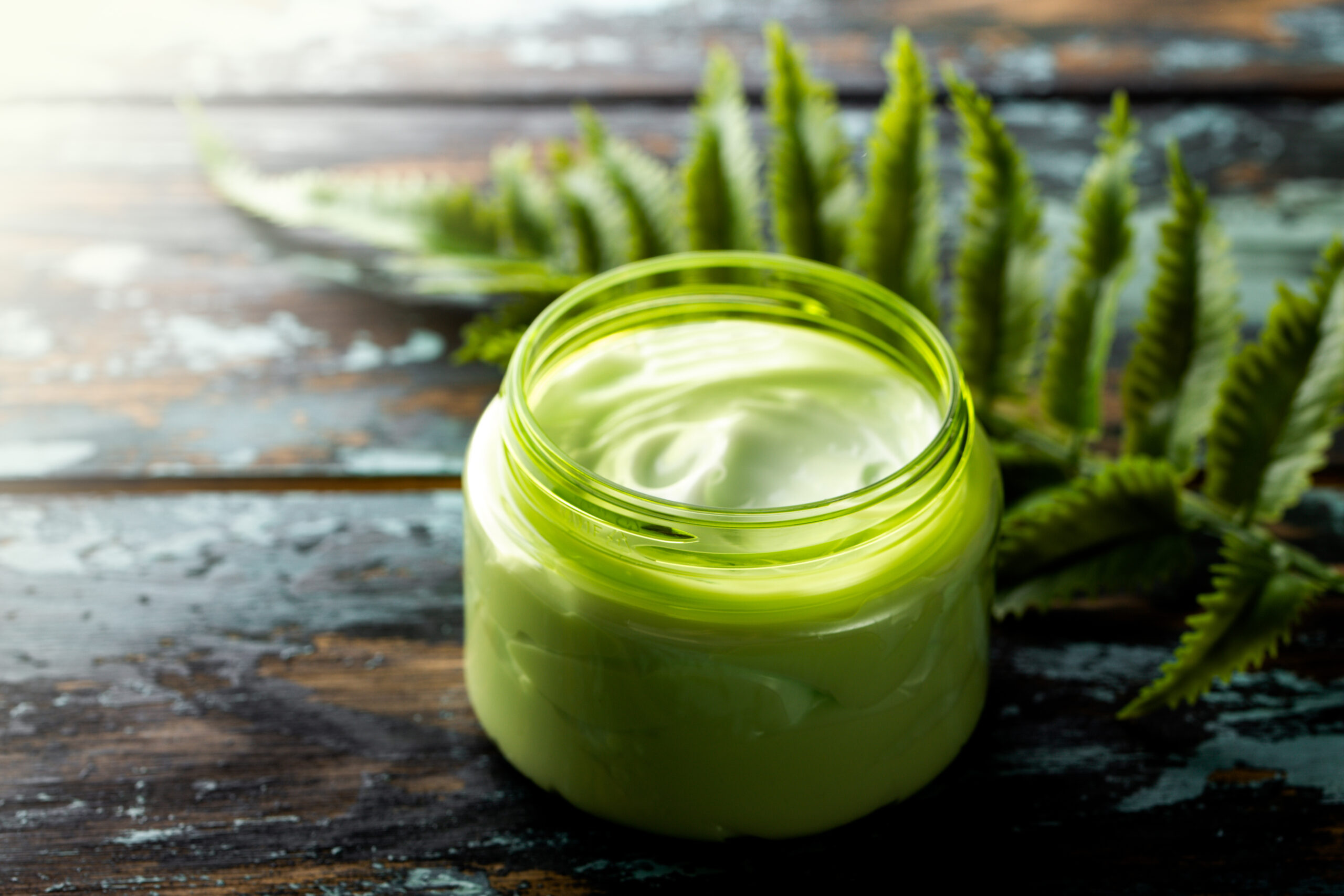 Cosmetic cream in container with green leaf