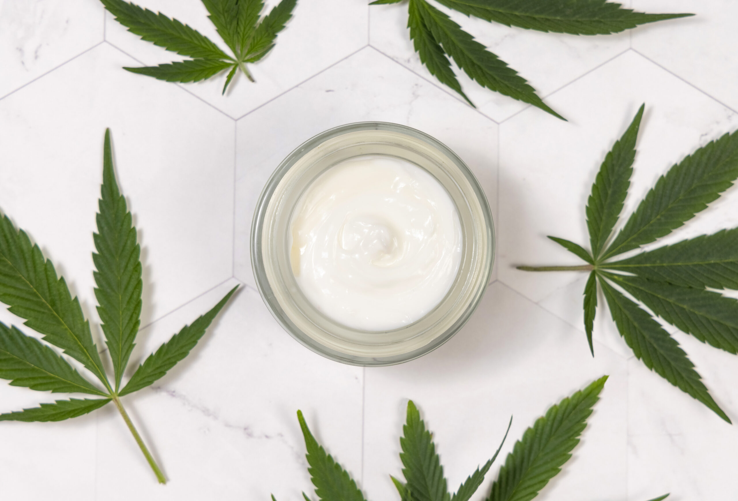 Cream jar near cannabis leaves on marble top view. CBD Cosmetic