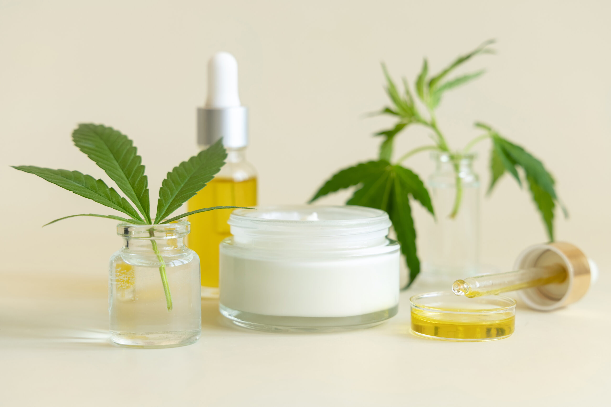 Cream Jars and bottles near green cannabis leaves close up on li