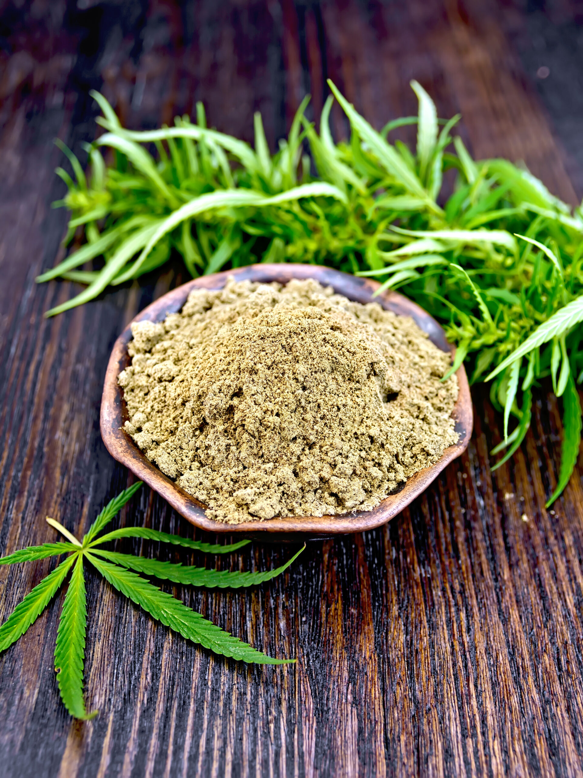Flour hemp in clay bowl with green leaf on board