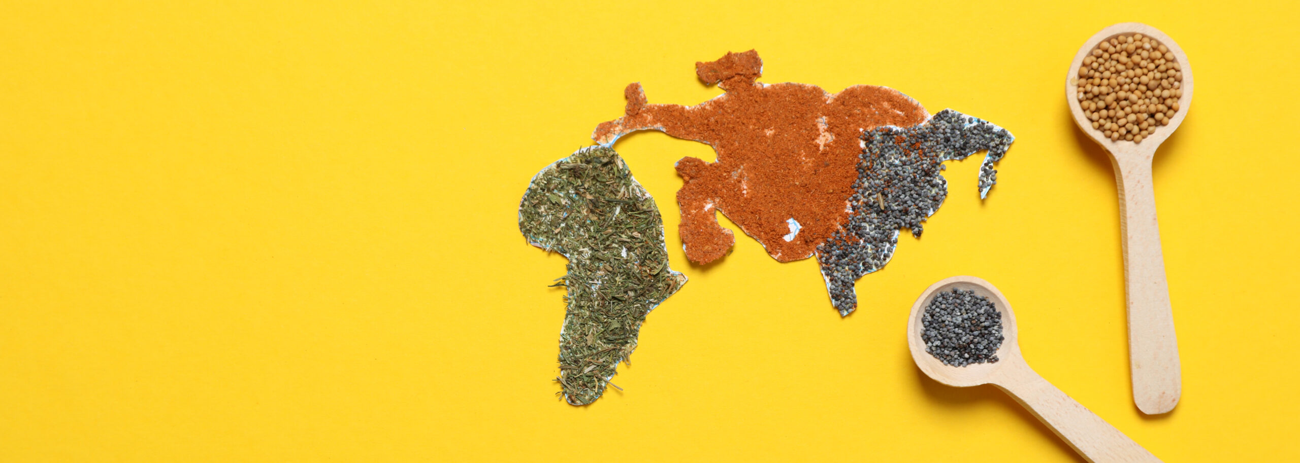 Map of world made from different kinds of spices