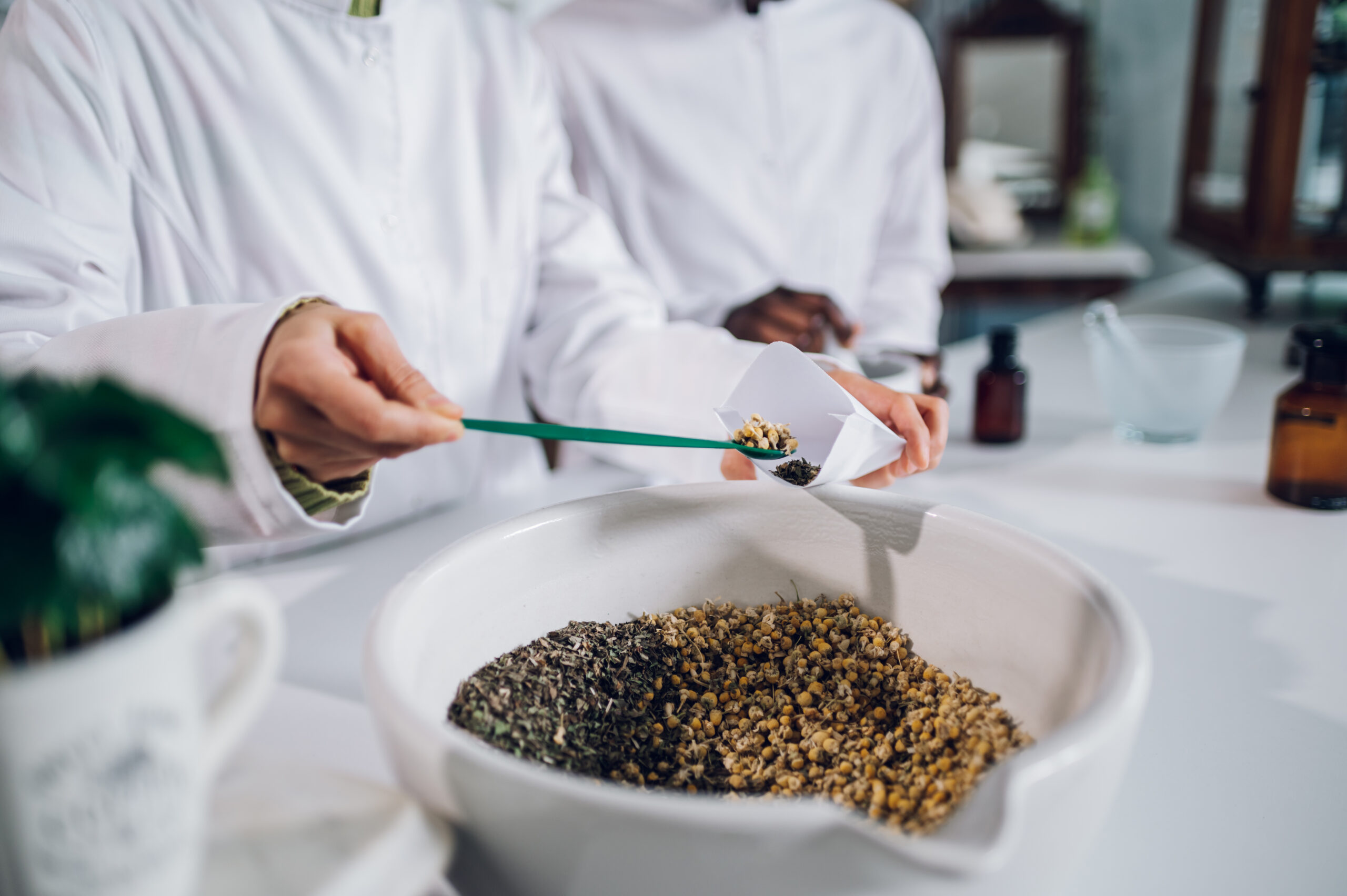 Processing and Extraction Methods of Medicinal Cannabis