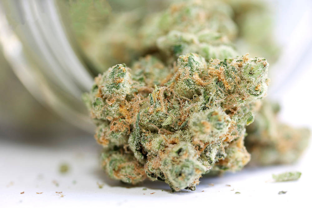 A Guide to Different Types of Cannabis Products