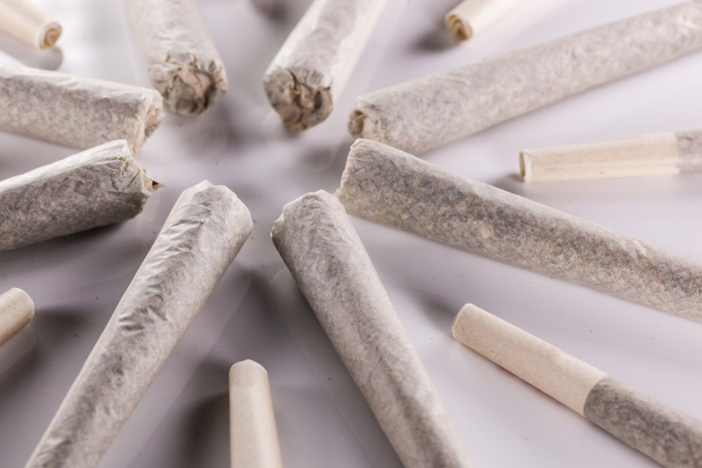 Everything You Need to Know About Cannabis Pre-rolls