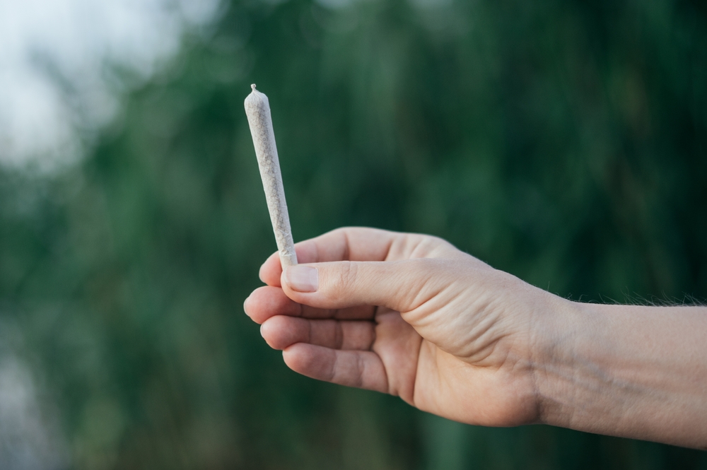 Getting Started with Cannabis Pre-Rolls