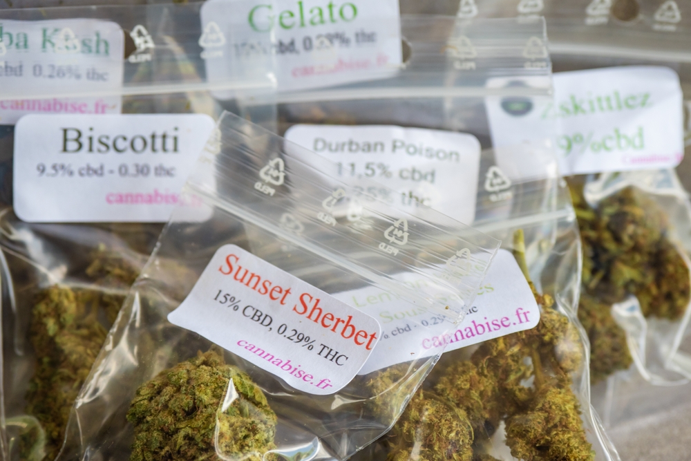 How to Choose the Best Cannabis Pre-Roll