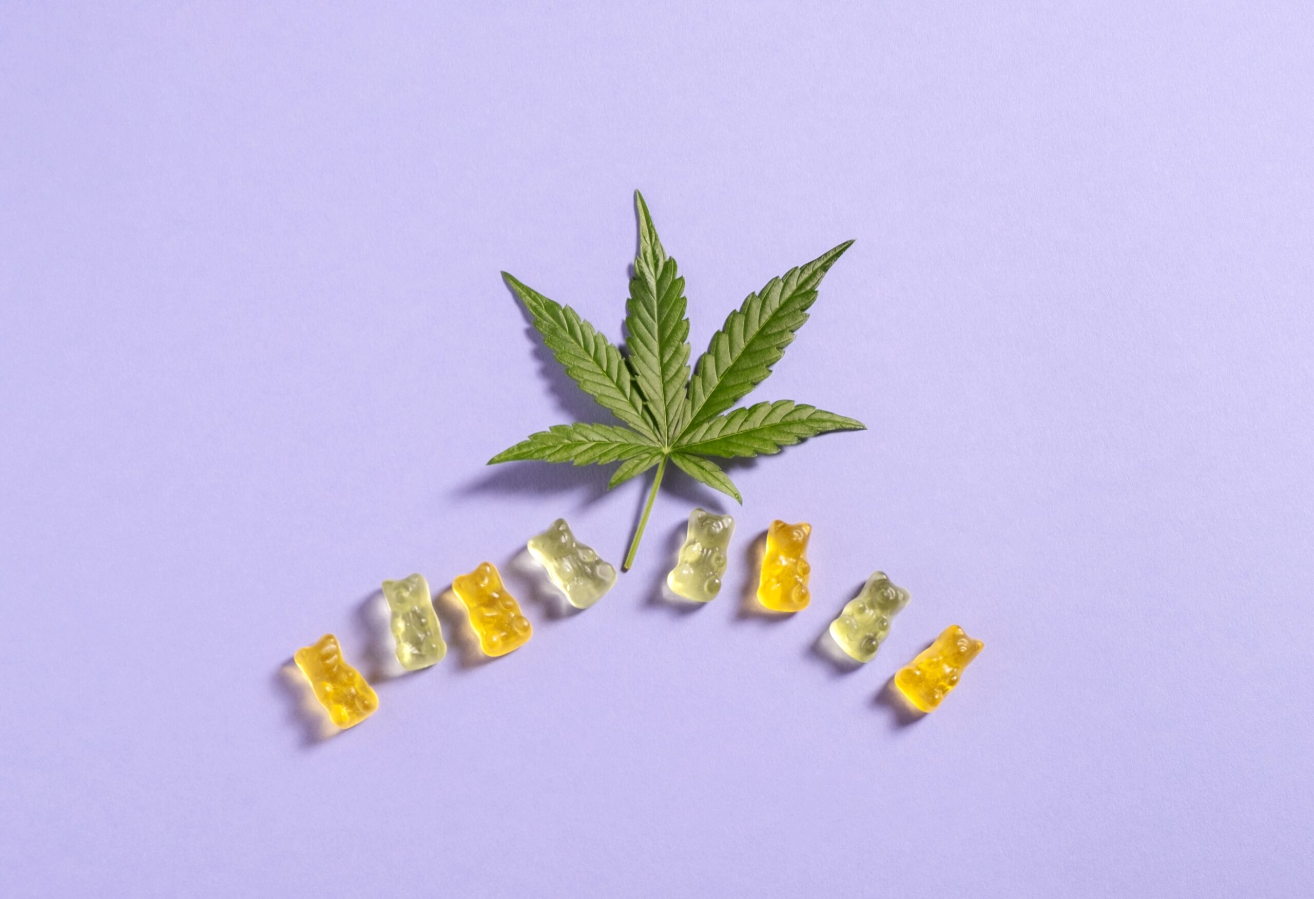 What’s in Your Cannabis Gummies?